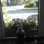 Woodlawn House Vendégház 3*