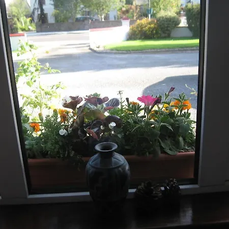 Woodlawn House בית הארחה 3*