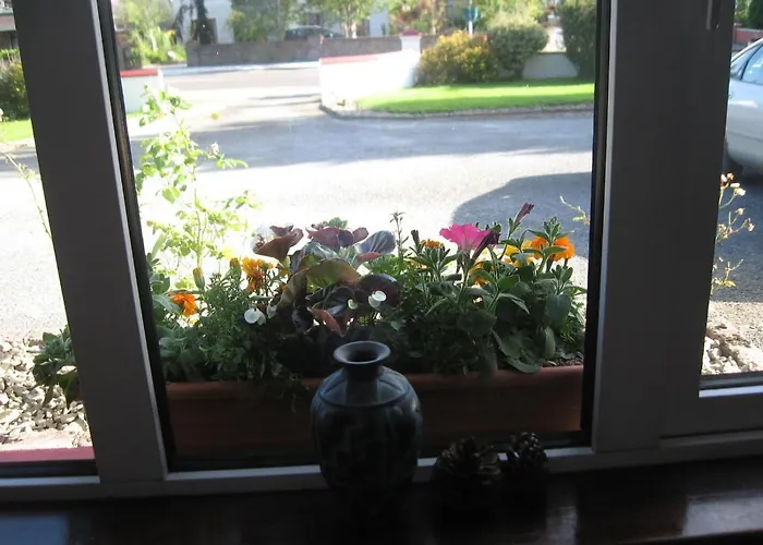 Woodlawn House Guest house 3*