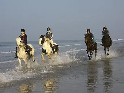 Woodlawn House 3* Killarney